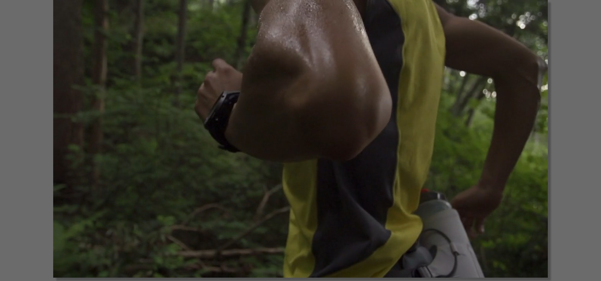 FROM THE TRAILS