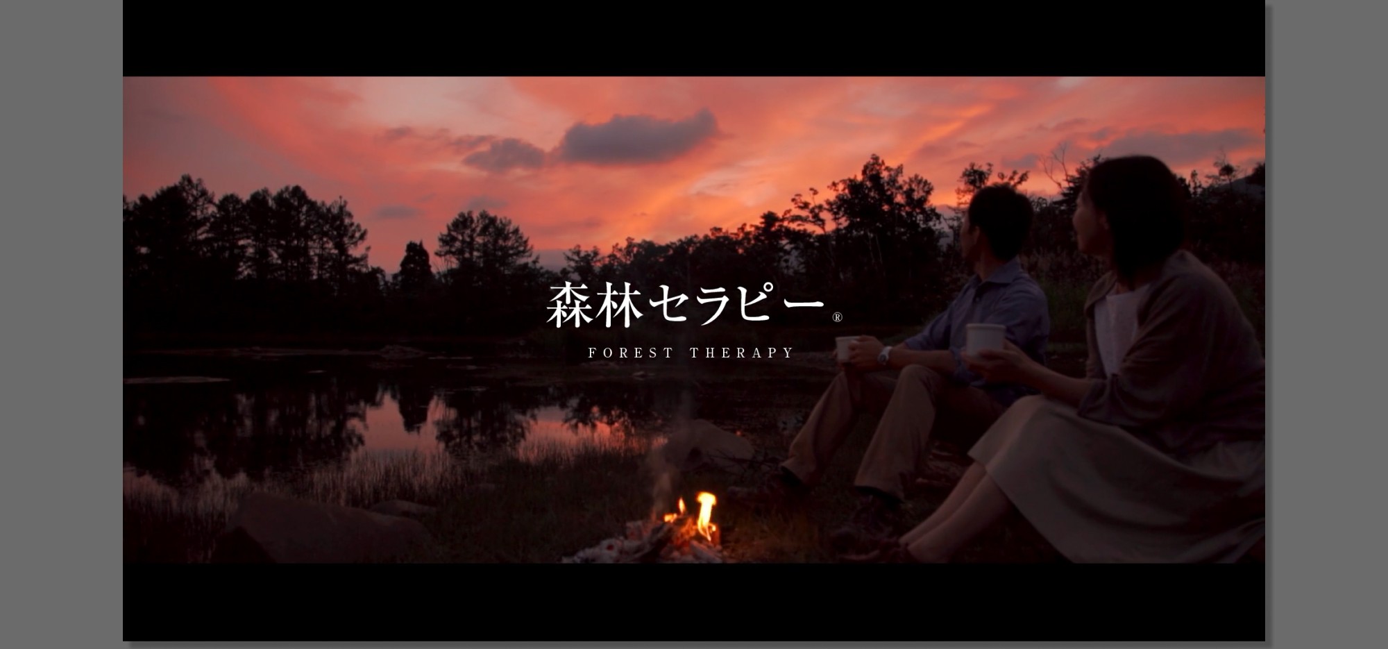 森林セラピー基地いいやま PV